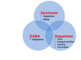 Neurotransmitters