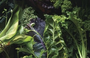 leafy greens vegetables every day