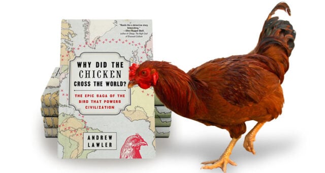 Why Did The Chicken Cross The World book by Andrew Lawler