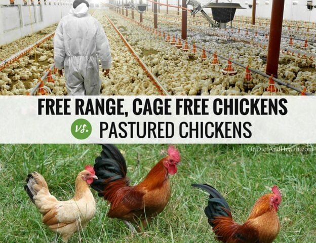 Truth in Labeling Cage Free, Pastured or Free Range