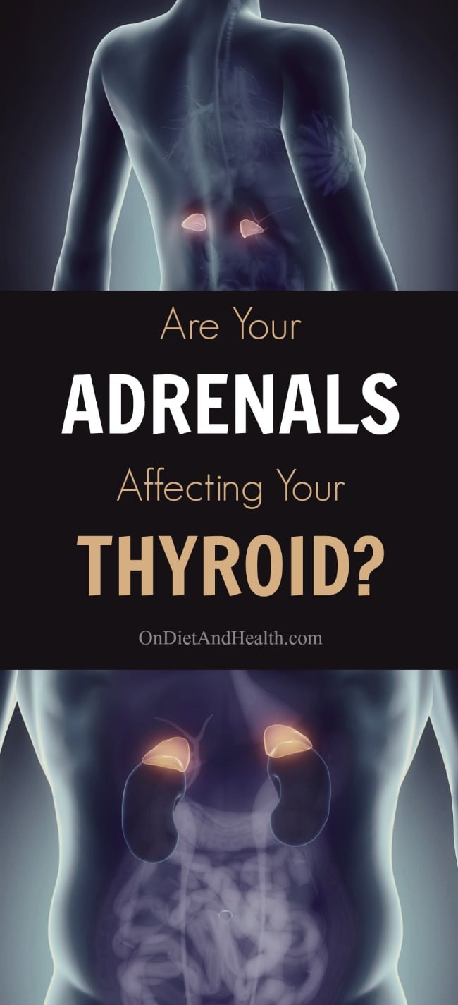 X-ray images of a person's back showing highlighted adrenal glands