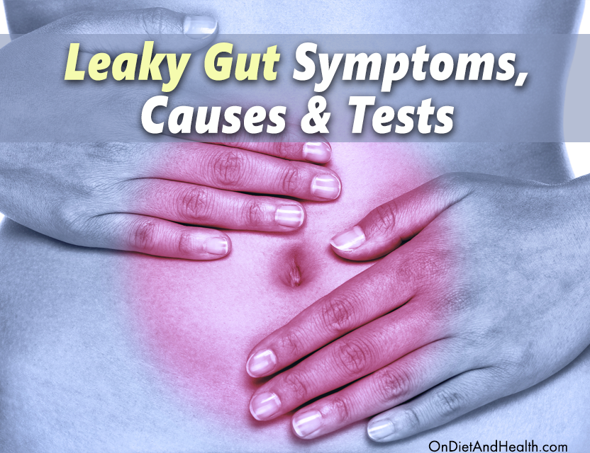 Leaky Gut Symptoms, Causes and Tests // OnDietAndHealth.com