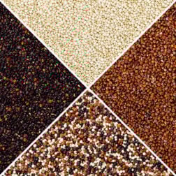 Red Quinoa grain to add to Paleo