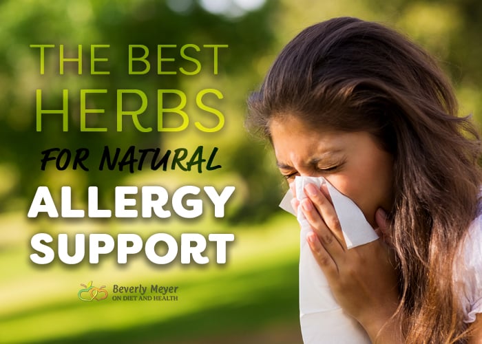 What are the best herbs for natural allergy support to help sneezing sufferers?